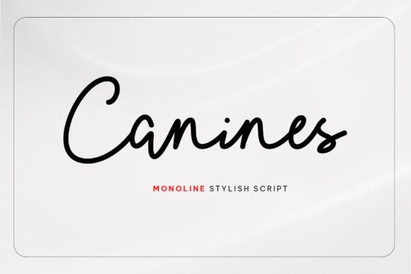 Canines: The Stylish Script Font That Elevates Campaign Typography