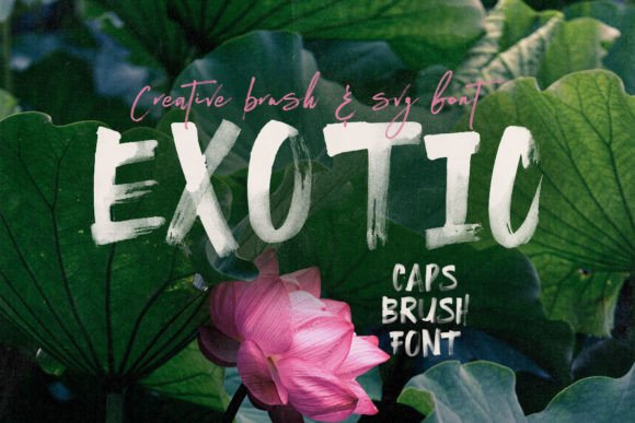 Exotic Font: Bold Beauty for Crafters and Product Designers
