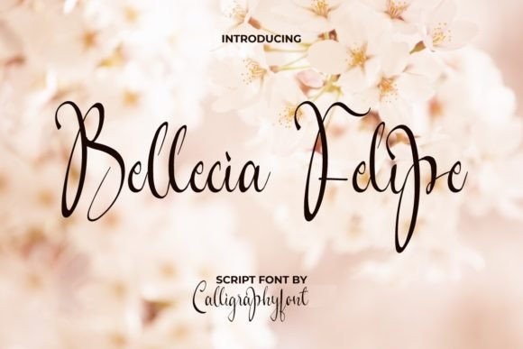 How Bellecia Felipe Font Transformed My Small Business Branding